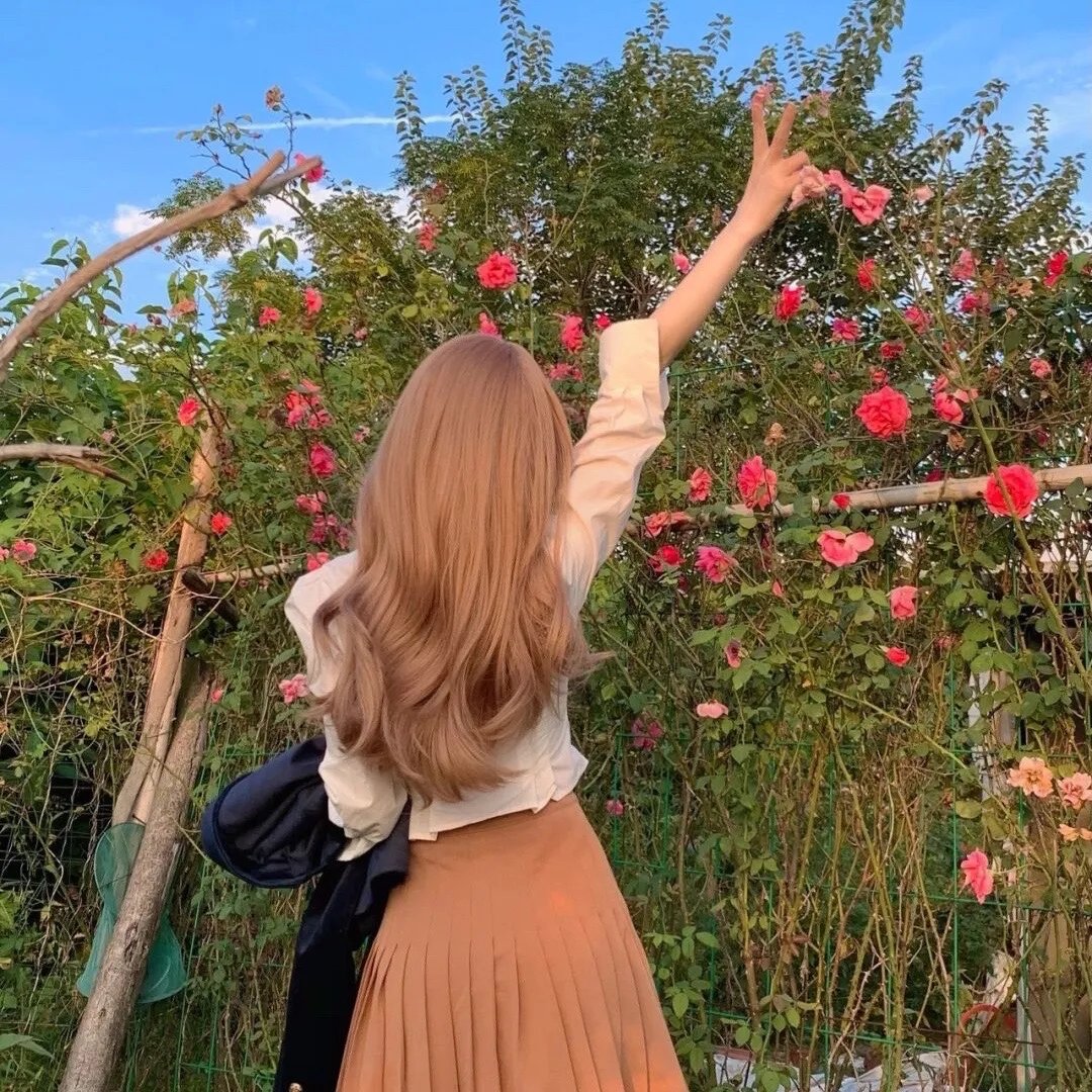 杀出个黎明第一季